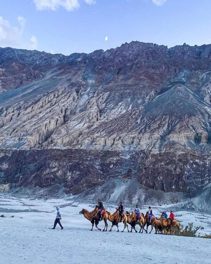 Hotel Nubra Residency Charāsa المظهر الخارجي الصورة